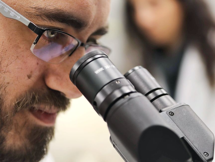 Close-up of a scientist examining samples using a microscope in a laboratory setting.